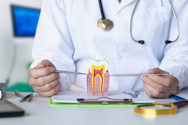 Best Emergency Root Canal Treatment in Prairie View, TX